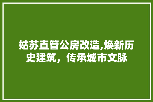 姑苏直管公房改造,焕新历史建筑，传承城市文脉