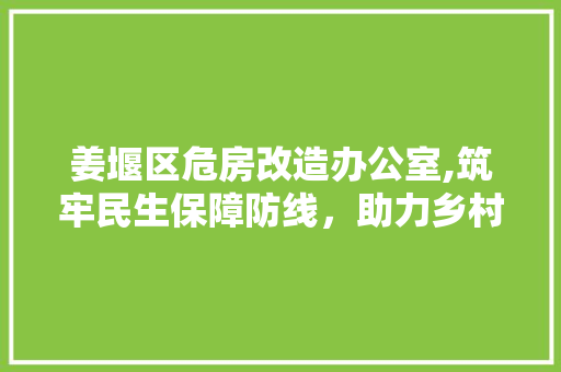 姜堰区危房改造办公室,筑牢民生保障防线，助力乡村振兴