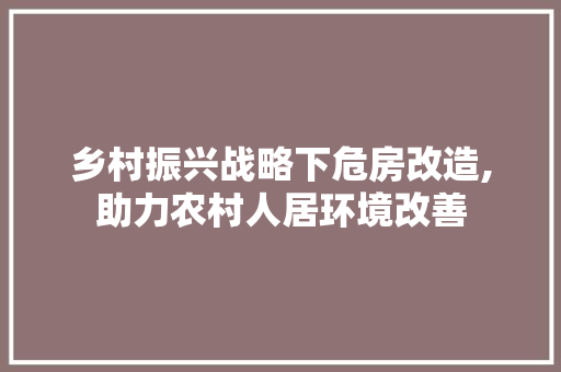 乡村振兴战略下危房改造,助力农村人居环境改善