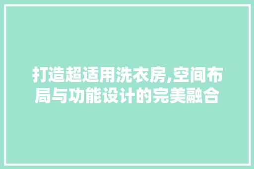 打造超适用洗衣房,空间布局与功能设计的完美融合