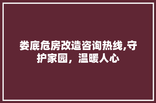 娄底危房改造咨询热线,守护家园，温暖人心