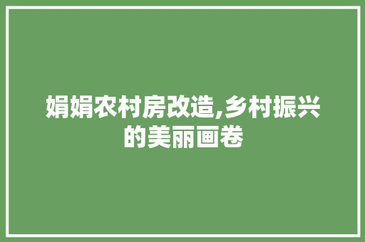 娟娟农村房改造,乡村振兴的美丽画卷