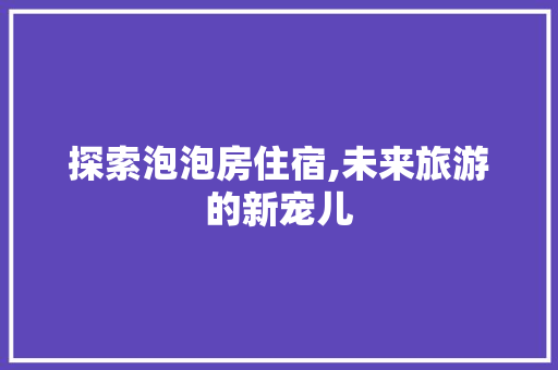 探索泡泡房住宿,未来旅游的新宠儿