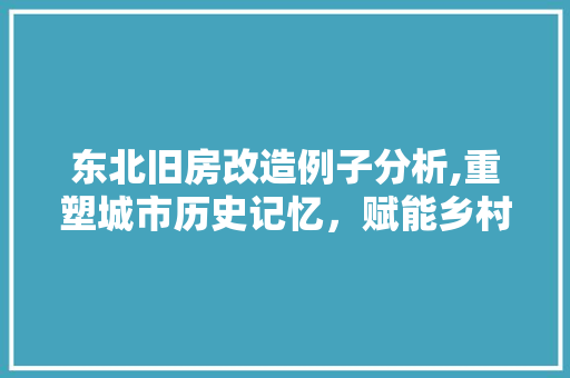东北旧房改造例子分析,重塑城市历史记忆，赋能乡村振兴