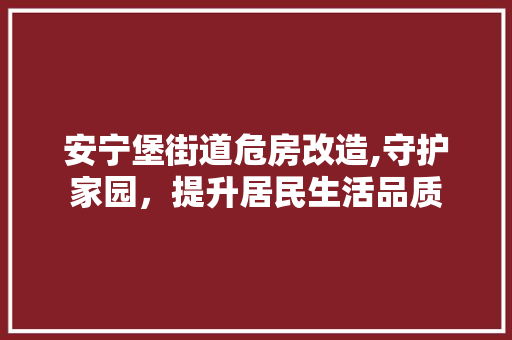 安宁堡街道危房改造,守护家园，提升居民生活品质