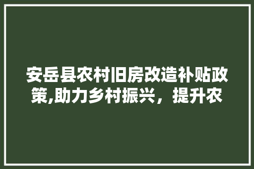 安岳县农村旧房改造补贴政策,助力乡村振兴，提升农村人居环境