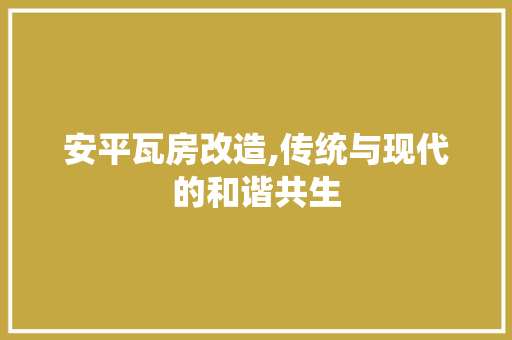 安平瓦房改造,传统与现代的和谐共生