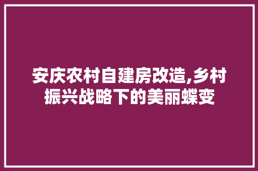 安庆农村自建房改造,乡村振兴战略下的美丽蝶变