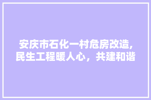 安庆市石化一村危房改造,民生工程暖人心，共建和谐宜居家园