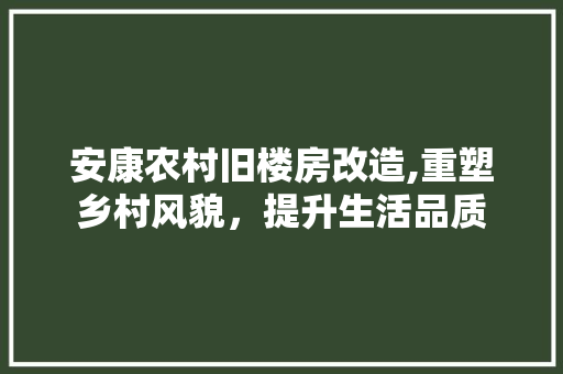 安康农村旧楼房改造,重塑乡村风貌，提升生活品质 隔断设计