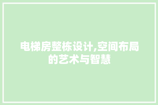 电梯房整栋设计,空间布局的艺术与智慧