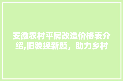 安徽农村平房改造价格表介绍,旧貌换新颜，助力乡村振兴