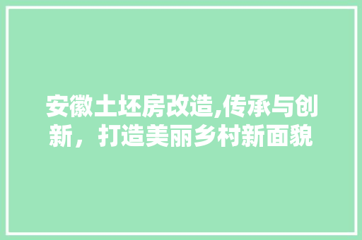安徽土坯房改造,传承与创新，打造美丽乡村新面貌