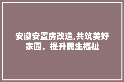 安徽安置房改造,共筑美好家园，提升民生福祉