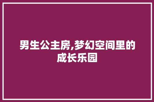 男生公主房,梦幻空间里的成长乐园