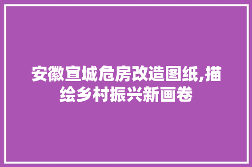 安徽宣城危房改造图纸,描绘乡村振兴新画卷