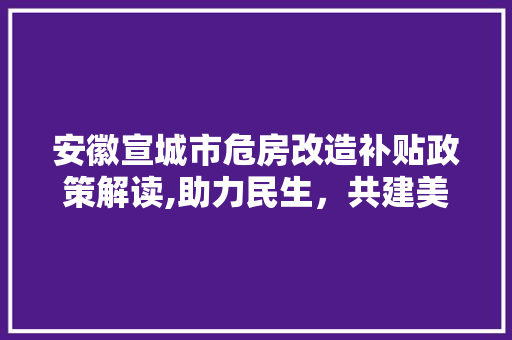 安徽宣城市危房改造补贴政策解读,助力民生，共建美好家园 景观设计