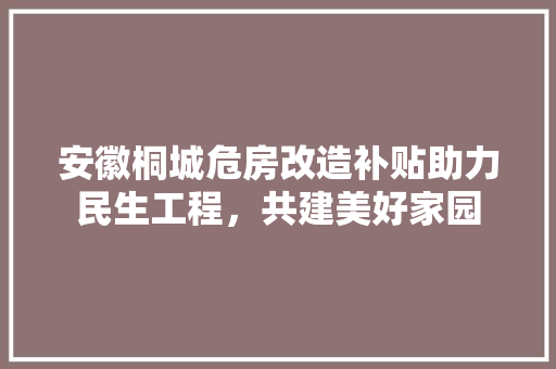 安徽桐城危房改造补贴助力民生工程，共建美好家园