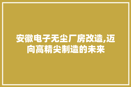 安徽电子无尘厂房改造,迈向高精尖制造的未来 装修攻略