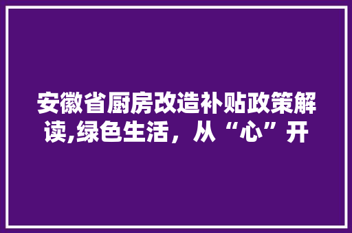 安徽省厨房改造补贴政策解读,绿色生活，从“心”开始