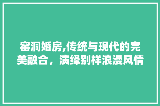 窑洞婚房,传统与现代的完美融合，演绎别样浪漫风情