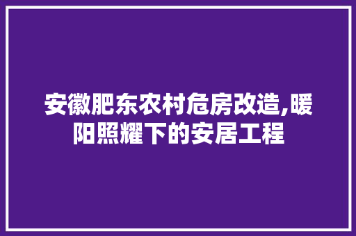 安徽肥东农村危房改造,暖阳照耀下的安居工程