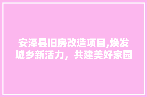 安泽县旧房改造项目,焕发城乡新活力，共建美好家园