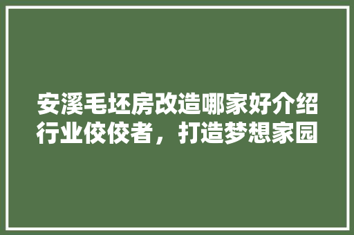 安溪毛坯房改造哪家好介绍行业佼佼者，打造梦想家园