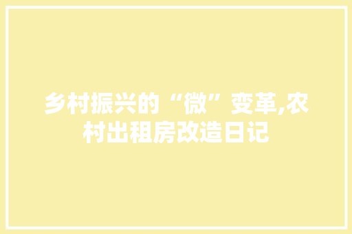 乡村振兴的“微”变革,农村出租房改造日记