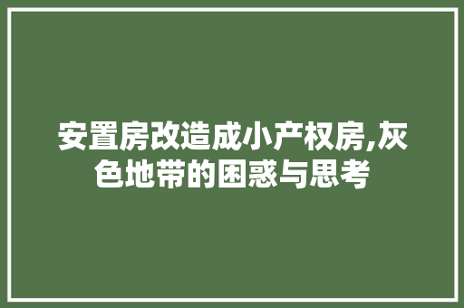 安置房改造成小产权房,灰色地带的困惑与思考