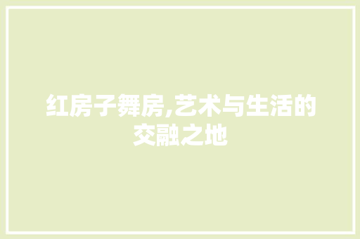 红房子舞房,艺术与生活的交融之地 装修材料