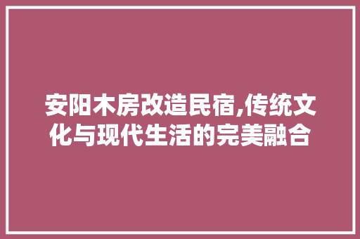 安阳木房改造民宿,传统文化与现代生活的完美融合