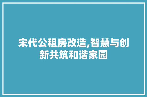 宋代公租房改造,智慧与创新共筑和谐家园