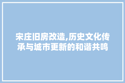 宋庄旧房改造,历史文化传承与城市更新的和谐共鸣