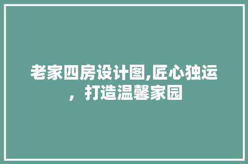老家四房设计图,匠心独运，打造温馨家园