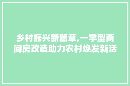乡村振兴新篇章,一字型两间房改造助力农村焕发新活力