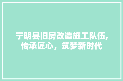 宁明县旧房改造施工队伍,传承匠心，筑梦新时代