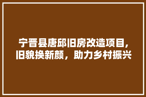 宁晋县唐邱旧房改造项目,旧貌换新颜，助力乡村振兴