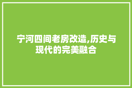 宁河四间老房改造,历史与现代的完美融合