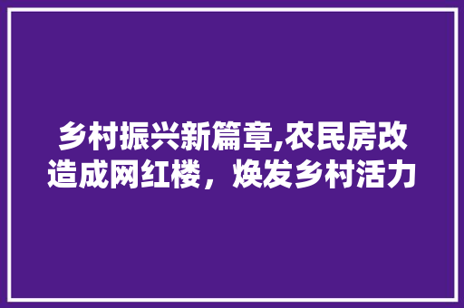 乡村振兴新篇章,农民房改造成网红楼，焕发乡村活力