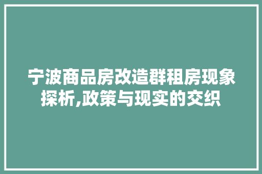 宁波商品房改造群租房现象探析,政策与现实的交织