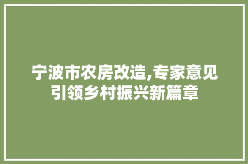 宁波市农房改造,专家意见引领乡村振兴新篇章 建筑设计