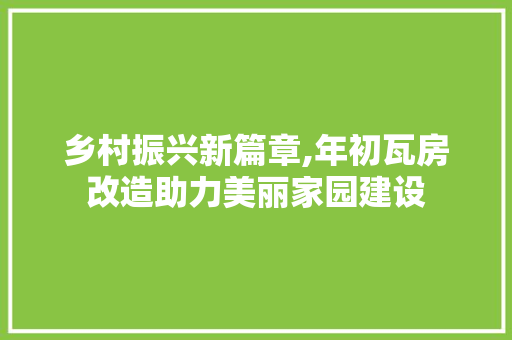 乡村振兴新篇章,年初瓦房改造助力美丽家园建设