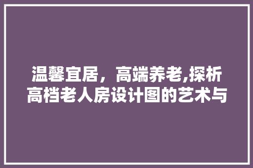 温馨宜居，高端养老,探析高档老人房设计图的艺术与科学