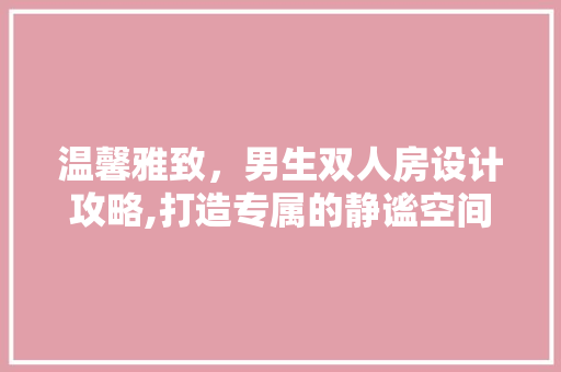 温馨雅致，男生双人房设计攻略,打造专属的静谧空间