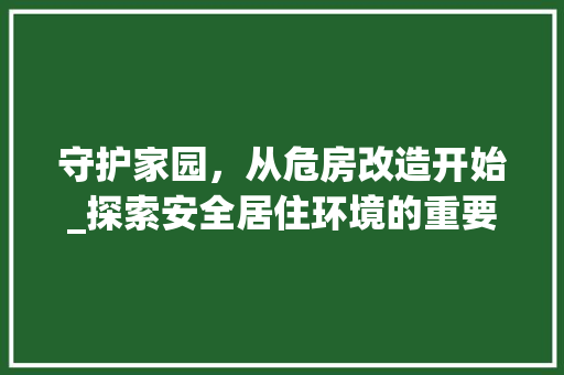 守护家园，从危房改造开始_探索安全居住环境的重要性