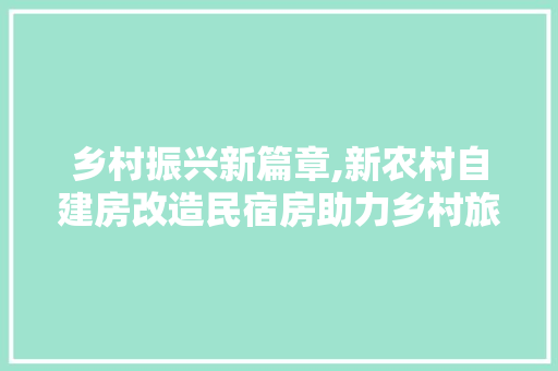 乡村振兴新篇章,新农村自建房改造民宿房助力乡村旅游发展
