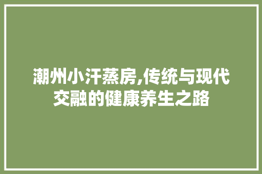 潮州小汗蒸房,传统与现代交融的健康养生之路