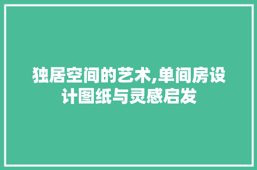 独居空间的艺术,单间房设计图纸与灵感启发
