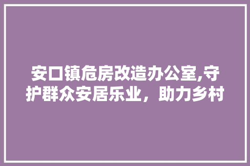安口镇危房改造办公室,守护群众安居乐业，助力乡村振兴